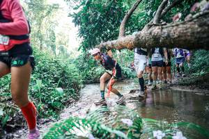 BIB: 
                            <button type="button" onclick="openModal(25465287)" class="btn btn-primary btn-sm float-right btn-popup" data-toggle="modal" data-target=".modal-high-quality">
                        <i class="fas fa-shopping-cart"></i> Add to Cart
                    </button>
                                            <button type="button" onclick="isThisMe(25465287, true)" class="btn btn-success btn-sm float-right btn-popup btn-isme hidden" data-toggle="tooltip" data-placement="bottom" title="นี่คือรูปของคุณใช่ไหม คลิกที่นี่เพื่อเอาเข้าอัลบั้ม">
                        <i class="fas fa-plus"></i> Add to album
                    </button>
                    <button type="button" onclick="isThisMe(25465287, false)" class="btn btn-warning btn-sm float-right btn-popup btn-isnotme hidden">
                        <i class="fas fa-ban"></i> Remove from album
                    </button>